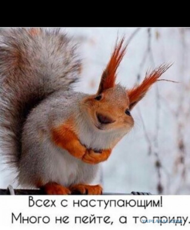 Ну, понеслась! Поздравления с Новым Годом по всей географии ЯПлакалъ!