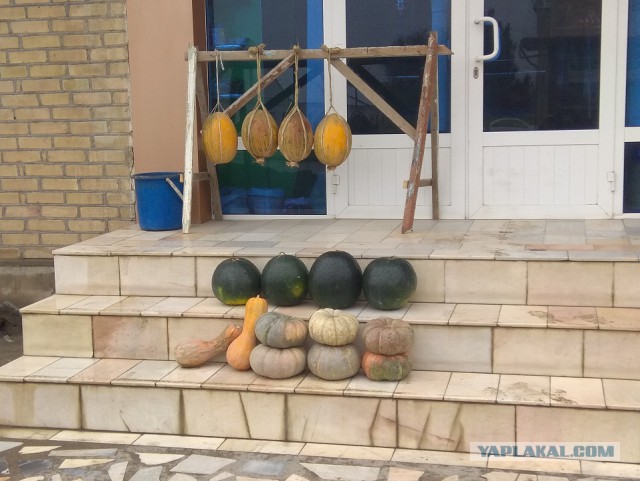 Алматы, Узбекистан, ноябрь 2017 года