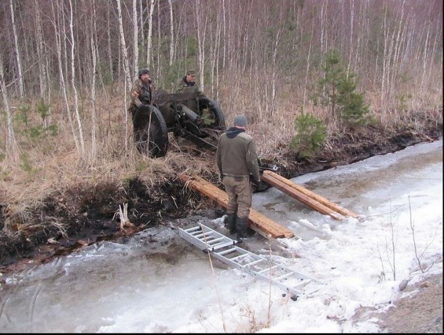 Пушка из болота