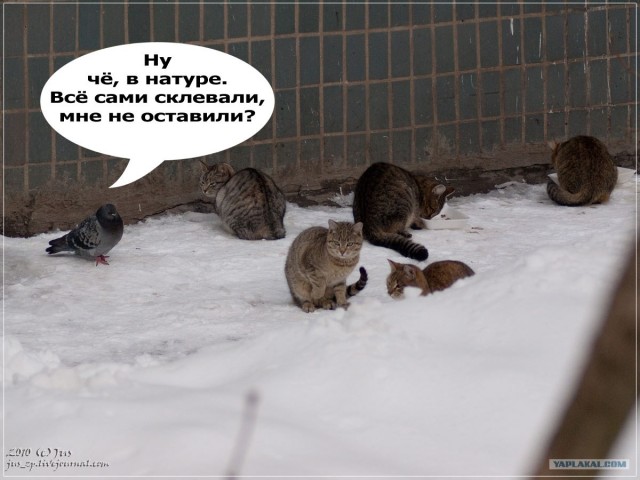 Потерявший страх!