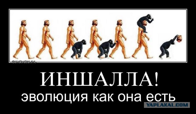 Жить в центре столицы в элитном доме не так уж круто, как может показаться. Всегда найдутся люди, которые захотят вас выселить