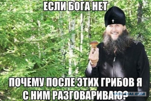 Дарвин посрамлен!