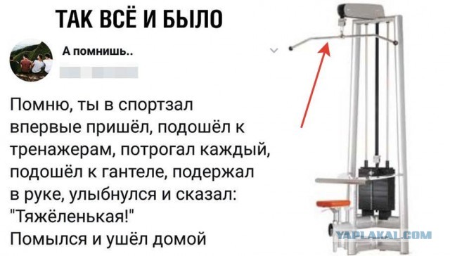Забавные шутки, картинки и фразы из этих ваших интернетов