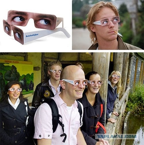 Горилла и очки