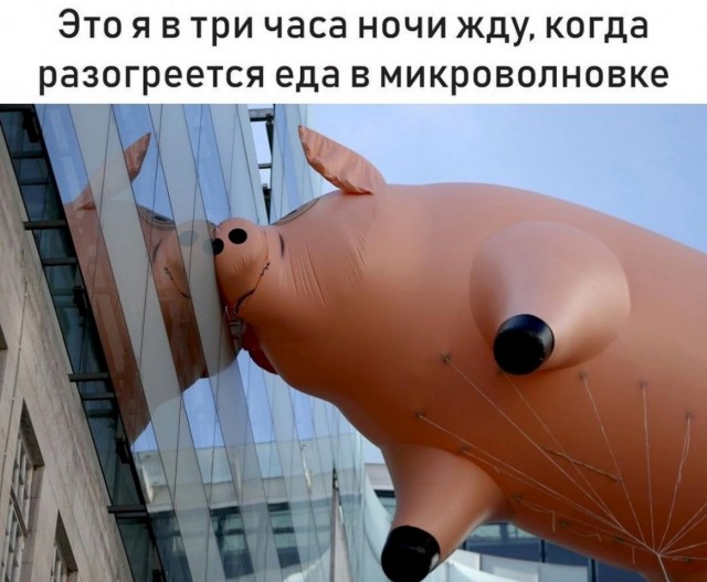 Дурацкие картинки