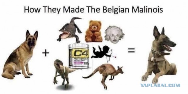Вот это прыжок