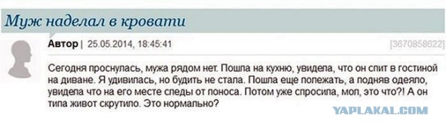 Чад кутежа, ад и мгла с женских форумов