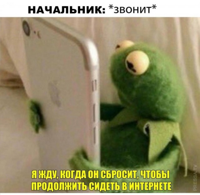 Картинки и мемы для настроения 018