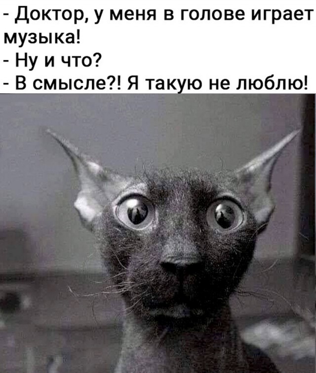 Дебилизмы из сети 04.02.21