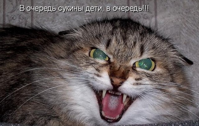 Как быстро надоедает жена