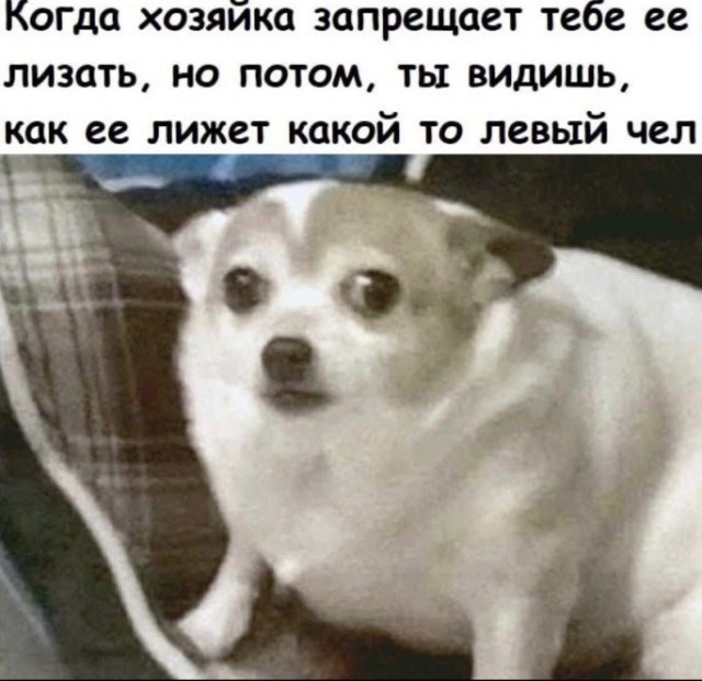 Бредзона и не только