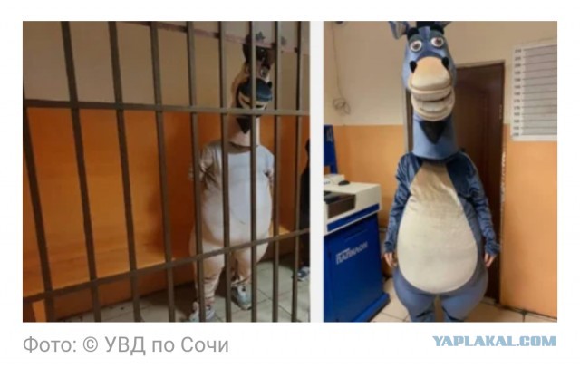 Сочинские полицейские задержали зазывал в костюмах животных