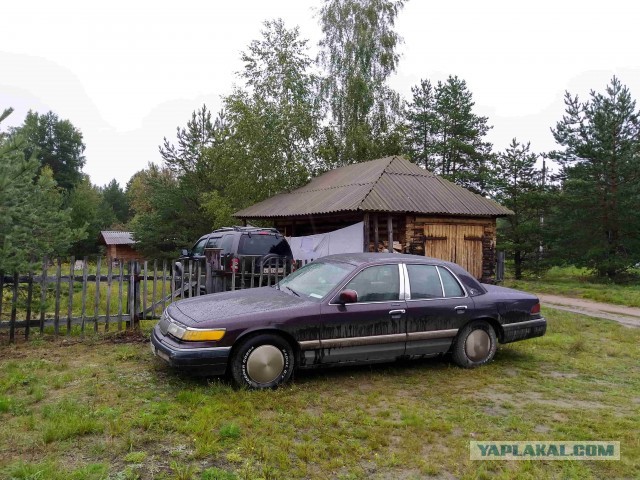 Счастье свободного мужчины