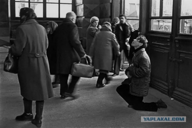 20 снимков с просторов нашей родины, которые полны жизни и неповторимых эмоций