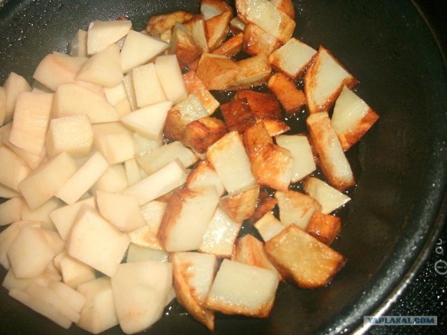 Пятничные посиделки на теплотрассе ©