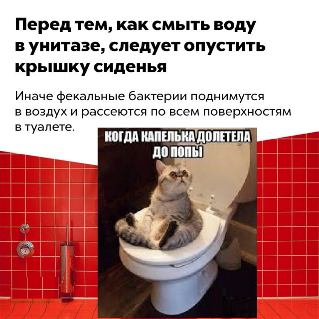 Занимательные факты о разном