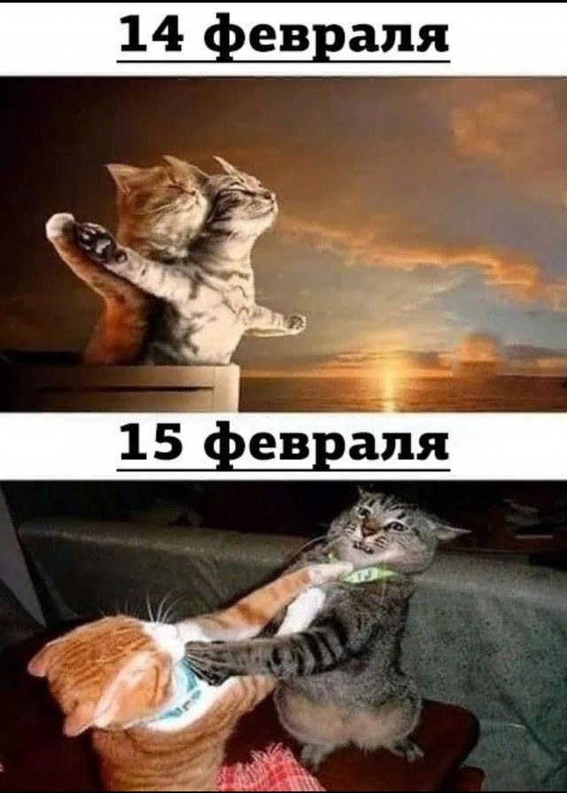 Не самый лучший день