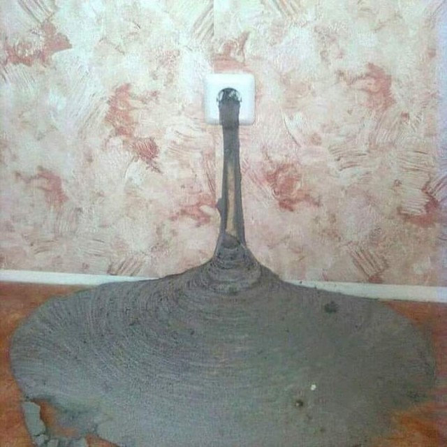 Я все отремонтировал