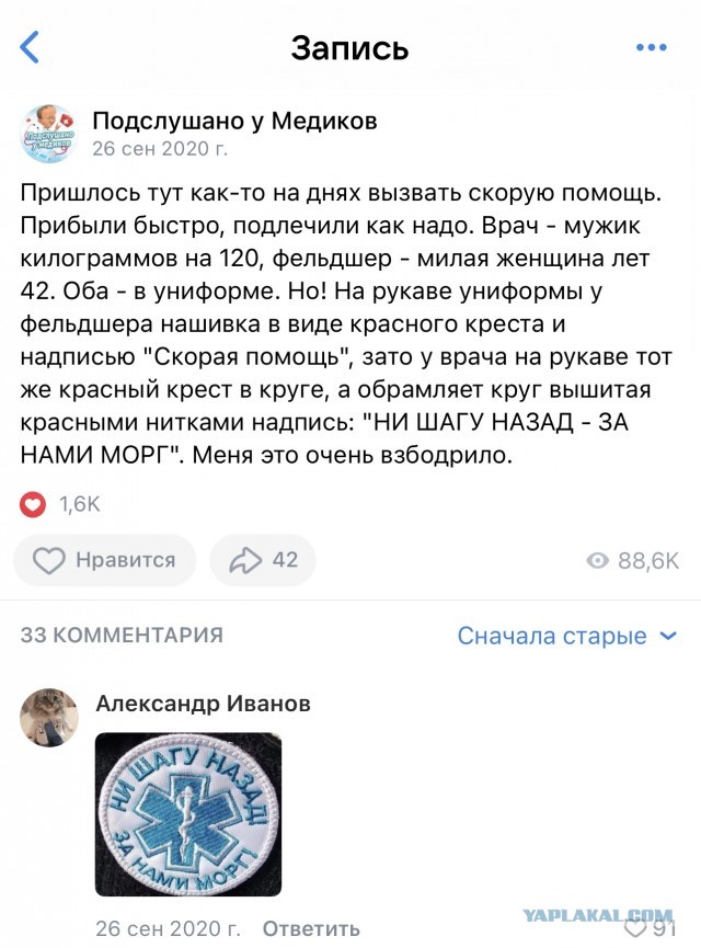 "За нами МОРГ!" Что у них в головах?!