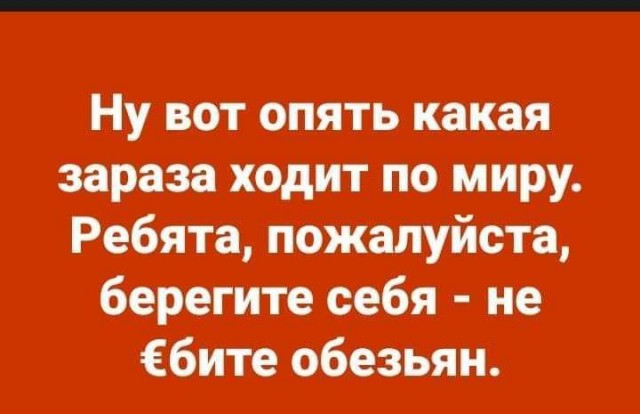 Весёлый полтишок 24.05.22