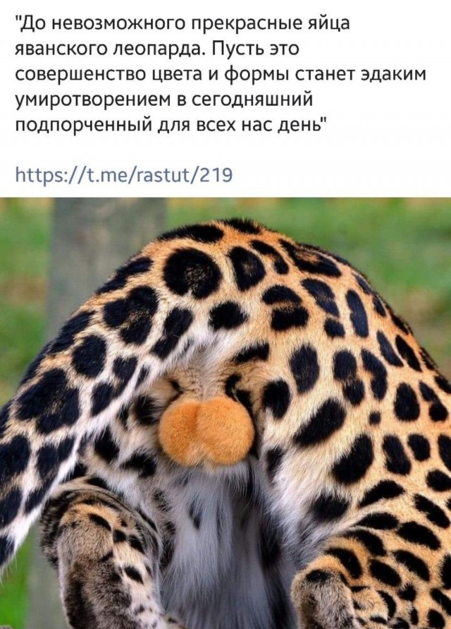 О женщинах