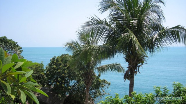 Такой разный остров Самуи