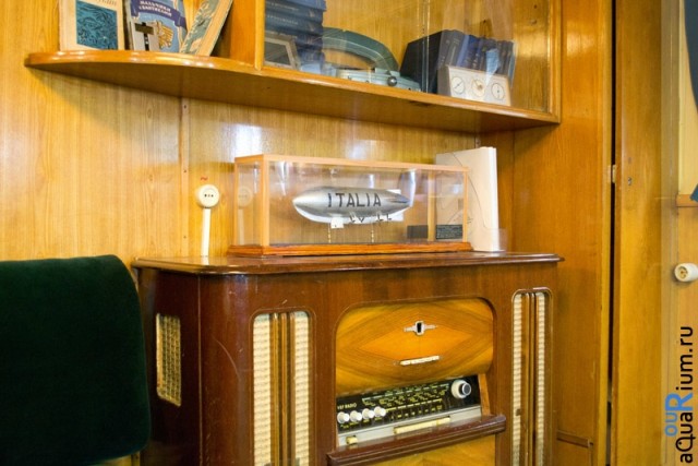 СПб глазами уставшего туриста...