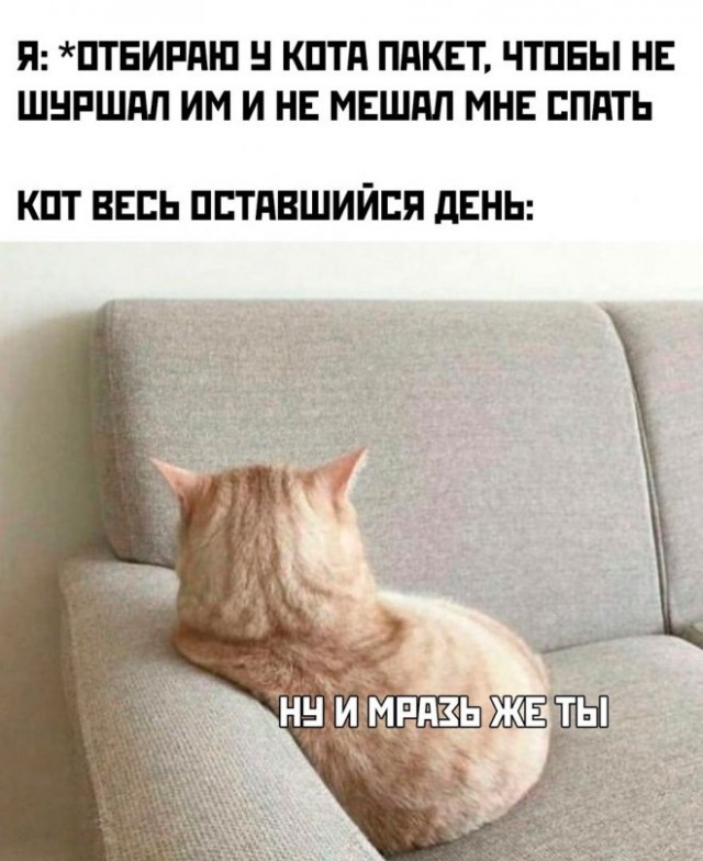 Картинки и мемы для настроения - 17