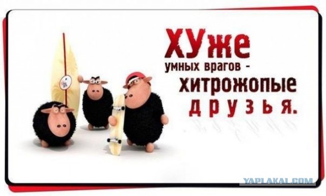 В Казахстане начали задерживать российские грузовики с товарами из ЕС
