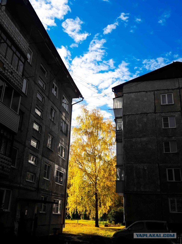 Поделимся красивыми фото с телефона?