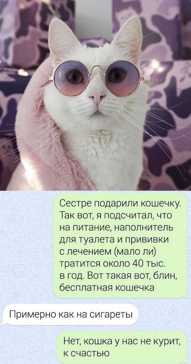 Картинки и мемы для настроения - 123