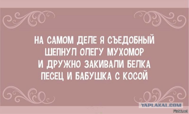 Олеги все такие⁠⁠
