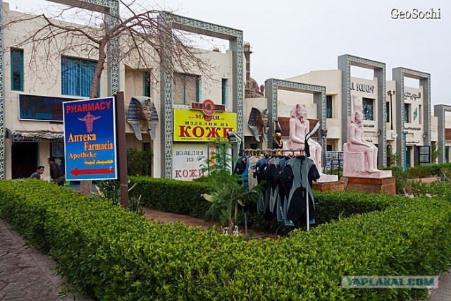 Синайские приключения. Шарм-эш-Шейх и окресности