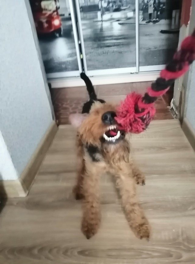Чуть припоздал