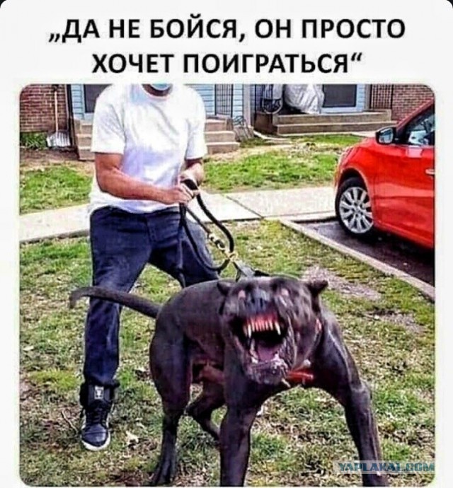 Подлинная история Баскервильского Чудовища