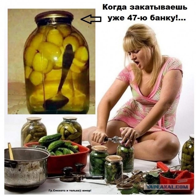 Женился на девственнице и пожалел!