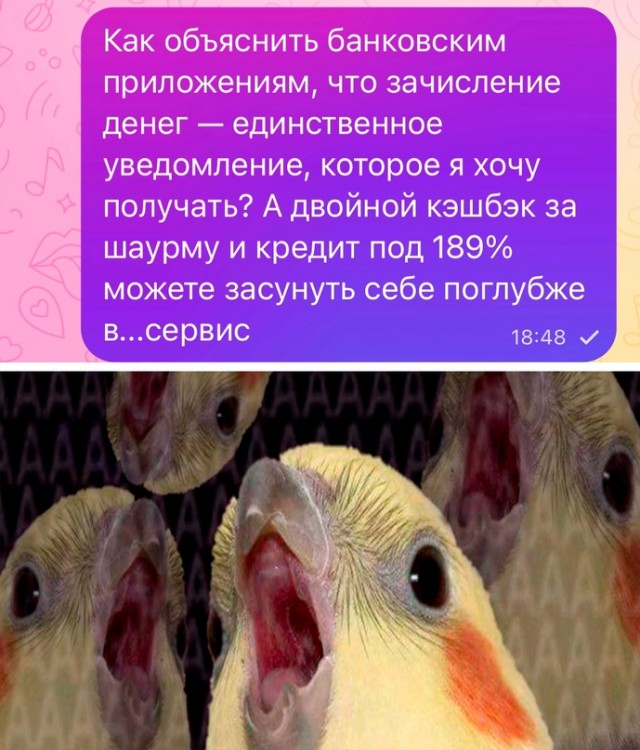 Весёлый полтишок 28.09.23