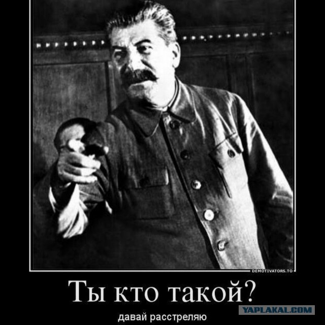 Полстакана в бешенстве
