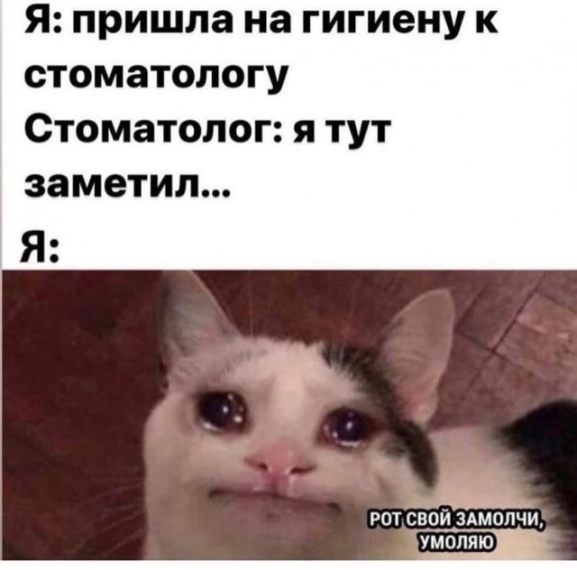 Тлидцать тли от 11 маЛта
