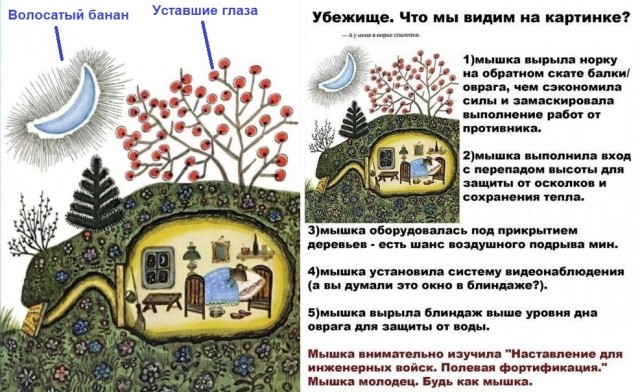 Деградильня