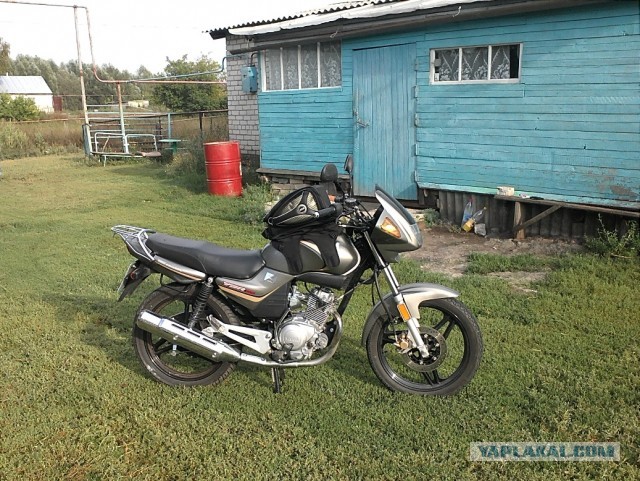 Zongshen ZS250: free as a bird