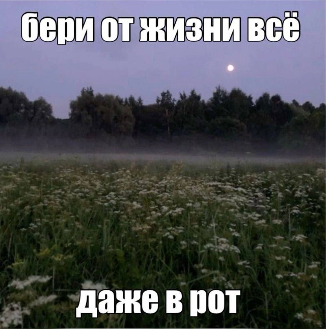 Всего понемногу. От 26.08.24