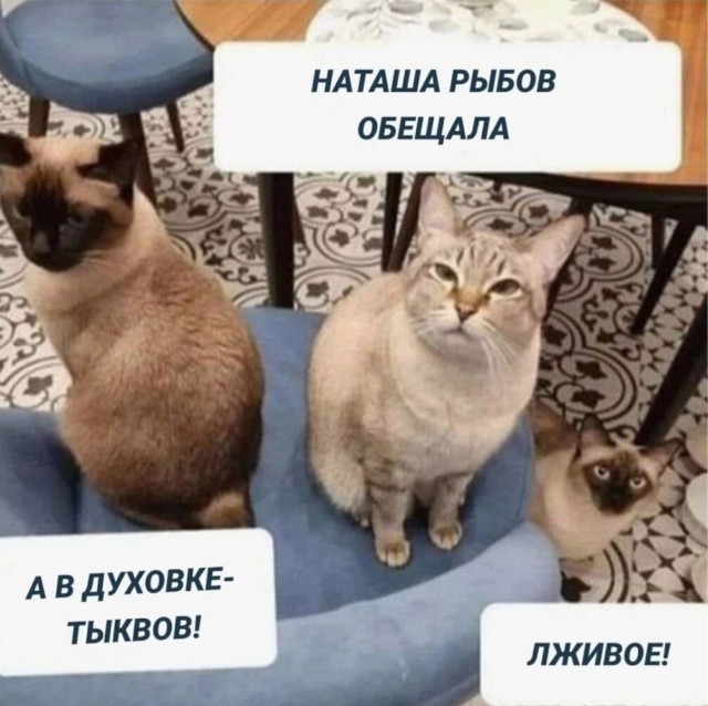 Так себе картинки 20.10.24