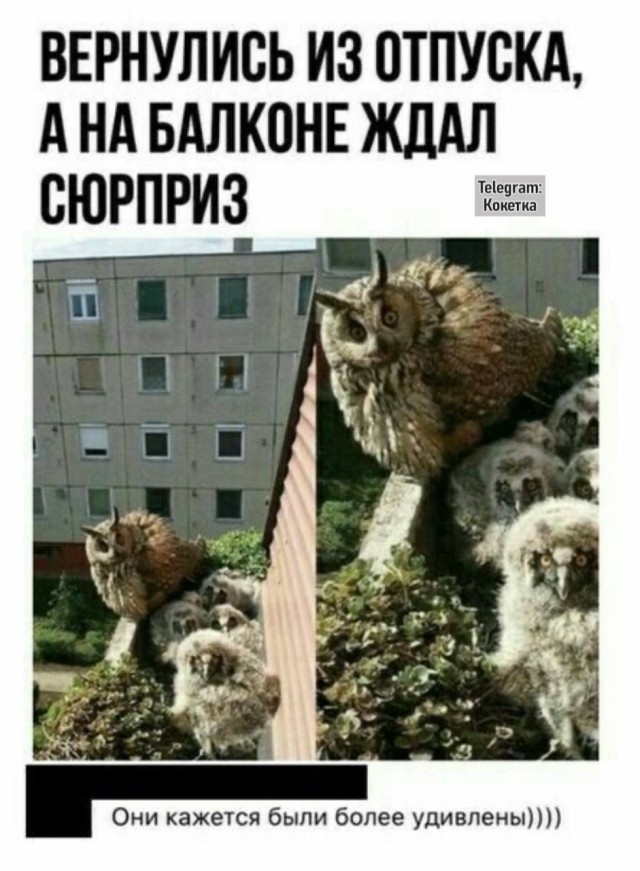 Вот как бывает.