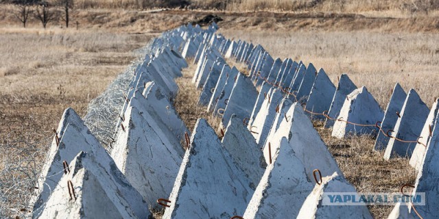 Уголовное  дело возбуждено после проверки качества «зубов дракона» под Курском