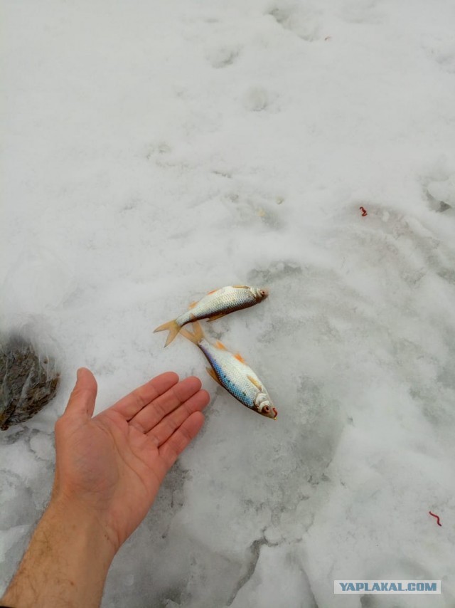 Пляжный отдых зимой