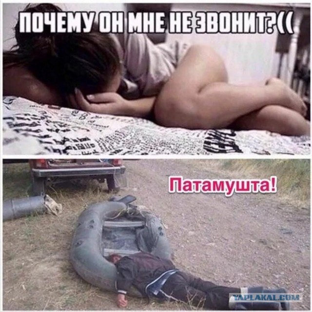 Отборные баяны 10-летней выдержки - MASCULINE - Edition