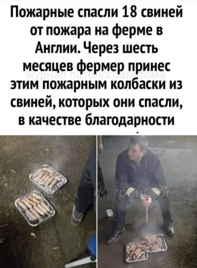 Веселое настроение в картинках (10.07.25)