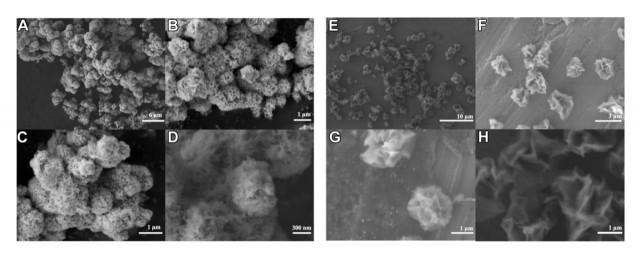 Наноцветы могут лечить болезни мозга