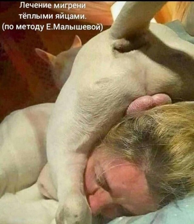 Ну а теперь к действительно важным вопросам